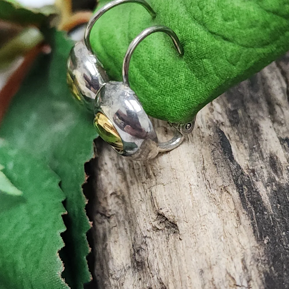 Two Toned Silver Toned and Gold Toned Circle Lever Back Earrings